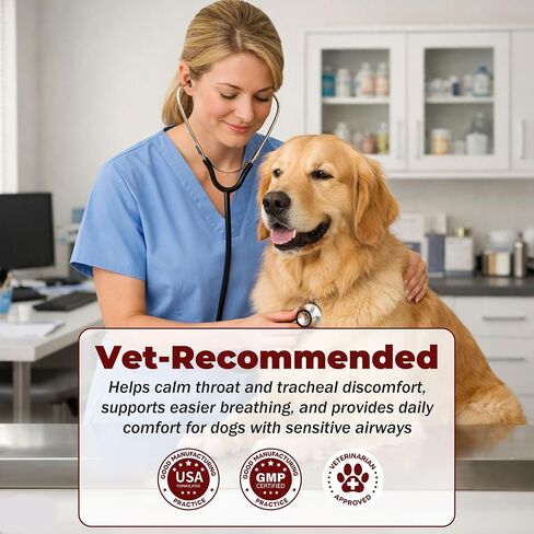 Dog Cough Relief Chewable,Kennel Cough,Dry,Wet,Wheezing,Honking & Phlegm Comfort,Supports Collapsed Trachea and Asthma,with Slippery Elm and Quercetin,Vet-Formulate,for All Breeds,120 Count in Kuwait