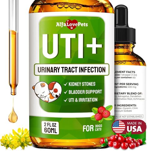 Cat UTI Treatment for Frequent Urination, Bladder & Kidney Irritation – Squeezable Dog UTI Treatment for Natural Care – Creamy UTI+ Cranberry Supplement for Dogs with Chicken Flavor – 10 Sticks x 5 g in Kuwait