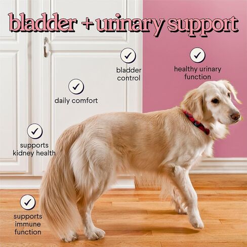 Cranberry Supplement for Dogs UTI - Urinary Tract & Bladder Chewables 120ct in Kuwait