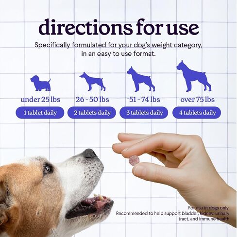 Cranberry Supplement for Dogs UTI - Urinary Tract & Bladder Chewables 120ct in Kuwait