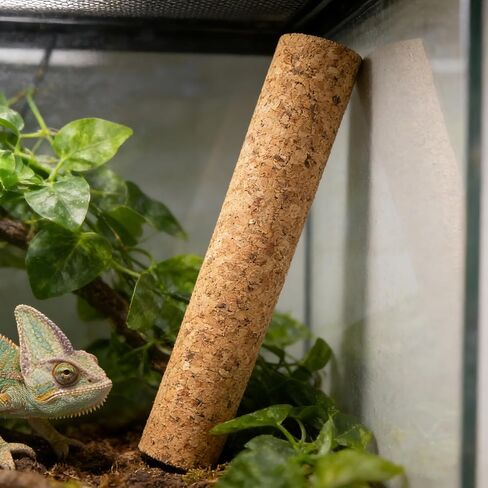 2pcs Terrarium Sticks for Snake Tank Climbing Decor, 20cm Wood in Kuwait