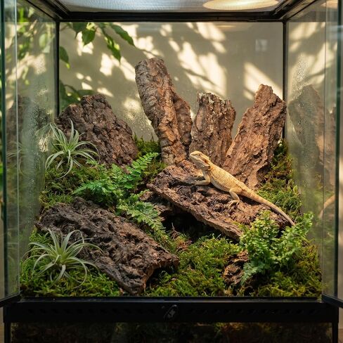 CALLARON 5pcs Reptile Bark Cork Wood Panel Decor for Tank and Terrarium in Kuwait