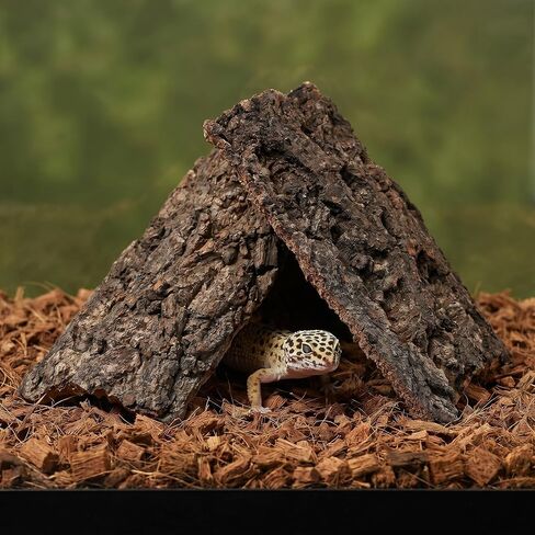 CALLARON 5pcs Reptile Bark Cork Wood Panel Decor for Tank and Terrarium in Kuwait