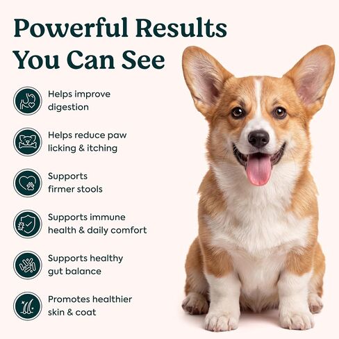 Probiotics for Dogs – Allergy Chews for Gut Health & Itchy Skin in Kuwait