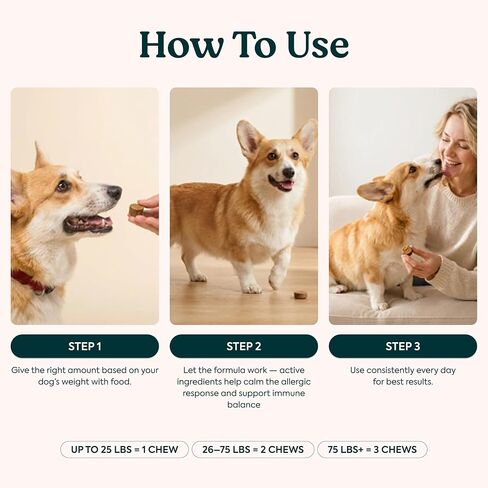 Probiotics for Dogs – Allergy Chews for Gut Health & Itchy Skin in Kuwait