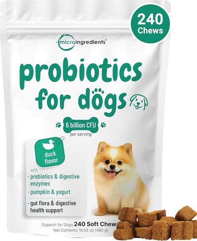 Micro Ingredients Probiotics for Dogs, 240 Soft Chews | Daily Digestive Health Probiotic Chews for Dogs with Prebiotics & Enzymes | Supports Gut Flora & Immune Function* | Non-GMO, Duck Flavor in Kuwait