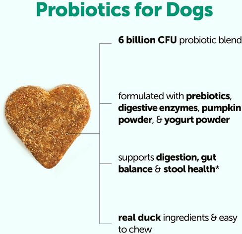 Micro Ingredients Probiotics for Dogs, 240 Soft Chews | Daily Digestive Health Probiotic Chews for Dogs with Prebiotics & Enzymes | Supports Gut Flora & Immune Function* | Non-GMO, Duck Flavor in Kuwait