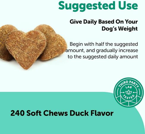 Micro Ingredients Probiotics for Dogs, 240 Soft Chews | Daily Digestive Health Probiotic Chews for Dogs with Prebiotics & Enzymes | Supports Gut Flora & Immune Function* | Non-GMO, Duck Flavor in Kuwait