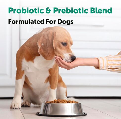 Micro Ingredients Probiotics for Dogs, 240 Soft Chews | Daily Digestive Health Probiotic Chews for Dogs with Prebiotics & Enzymes | Supports Gut Flora & Immune Function* | Non-GMO, Duck Flavor in Kuwait
