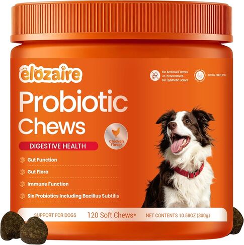 Probiotics for Dogs, Itchy Skin & Ears, Digestion, Diarrhea Relief in Kuwait