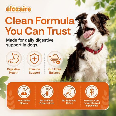 Probiotics for Dogs, Itchy Skin & Ears, Digestion, Diarrhea Relief in Kuwait