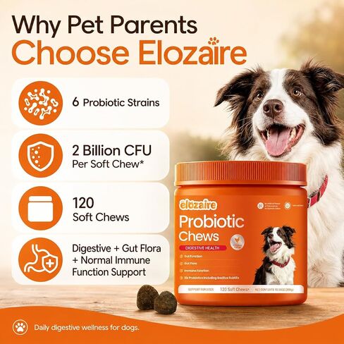Probiotics for Dogs, Itchy Skin & Ears, Digestion, Diarrhea Relief in Kuwait