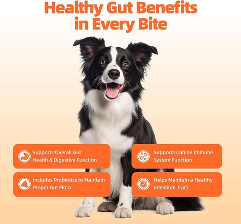 Probiotics for Dogs, Itchy Skin & Ears, Digestion, Diarrhea Relief in Kuwait
