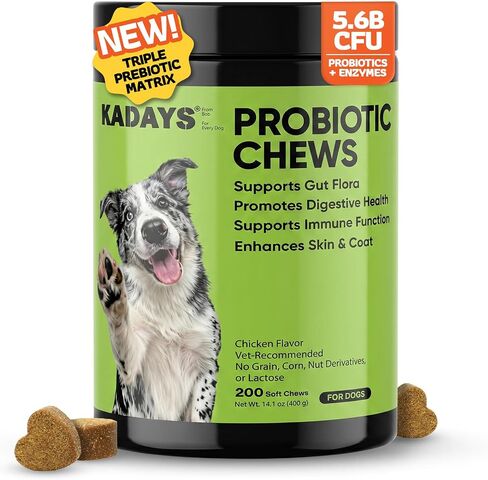 Probiotics for Dogs Digestive Health & Gut Flora Balance Diarrhea Relief in Kuwait