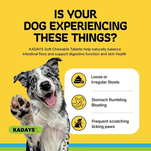 Probiotics for Dogs Digestive Health & Gut Flora Balance Diarrhea Relief in Kuwait