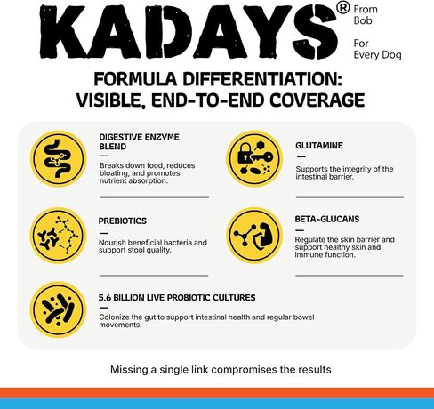 Probiotics for Dogs Digestive Health & Gut Flora Balance Diarrhea Relief in Kuwait