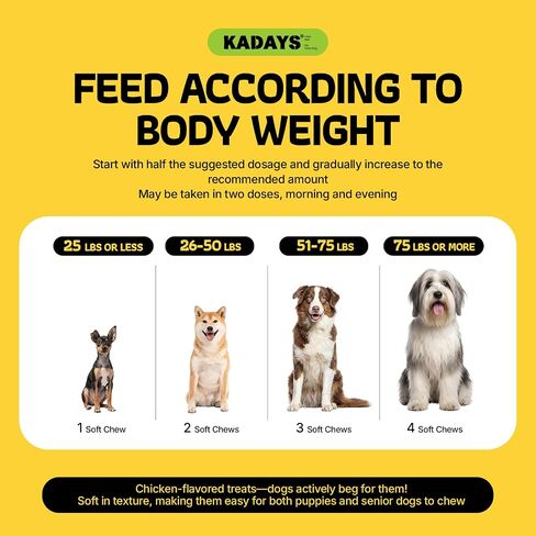 Probiotics for Dogs Digestive Health & Gut Flora Balance Diarrhea Relief in Kuwait
