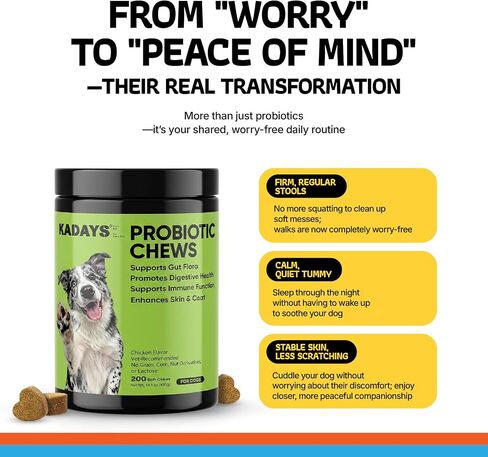 Probiotics for Dogs Digestive Health & Gut Flora Balance Diarrhea Relief in Kuwait