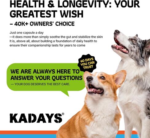 Probiotics for Dogs Digestive Health & Gut Flora Balance Diarrhea Relief in Kuwait