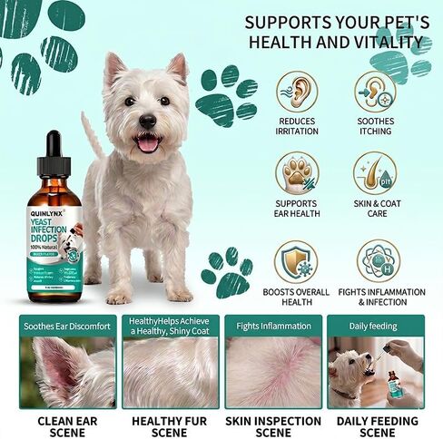Dog Yeast Infection Treatment Drops – Treats Canine Ear & Paw Yeast Infections, Relieves Irritation, Inflammation & Allergies, Multivitamin Probiotic Supplement for Dogs in Kuwait