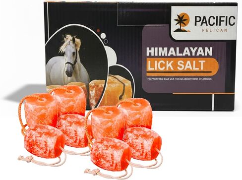 Himalayan Pink Salt Licks for Animals – Natural Salt Block with Rope for Horses, Cows, Deer & More – No Harmful Elements - Approximately 36 lbs (Pack of 8) in Kuwait