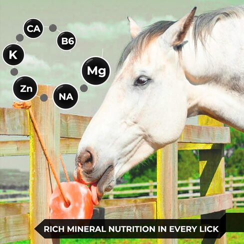 Himalayan Pink Salt Licks for Animals – Natural Salt Block with Rope for Horses, Cows, Deer & More – No Harmful Elements - Approximately 36 lbs (Pack of 8) in Kuwait