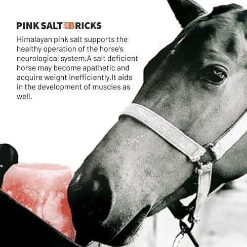 Himalayan Horse Salt Lick 4 Pack, 5 to 6 lbs Each Animal Salt Block on Rope for Deer, Goat, and Livestock in Kuwait