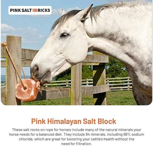 Himalayan Horse Salt Lick 4 Pack, 5 to 6 lbs Each Animal Salt Block on Rope for Deer, Goat, and Livestock in Kuwait