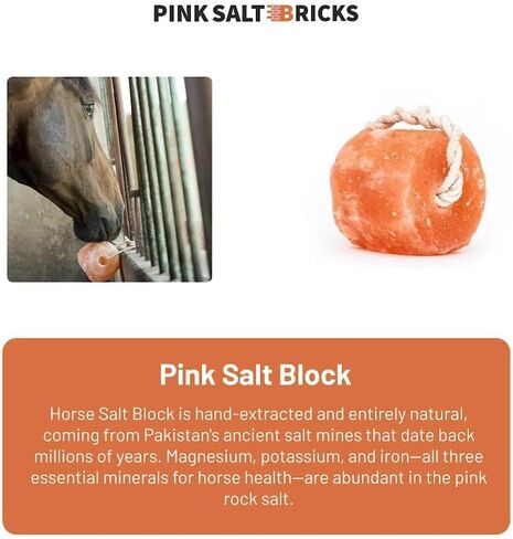 Himalayan Horse Salt Lick 4 Pack, 5 to 6 lbs Each Animal Salt Block on Rope for Deer, Goat, and Livestock in Kuwait