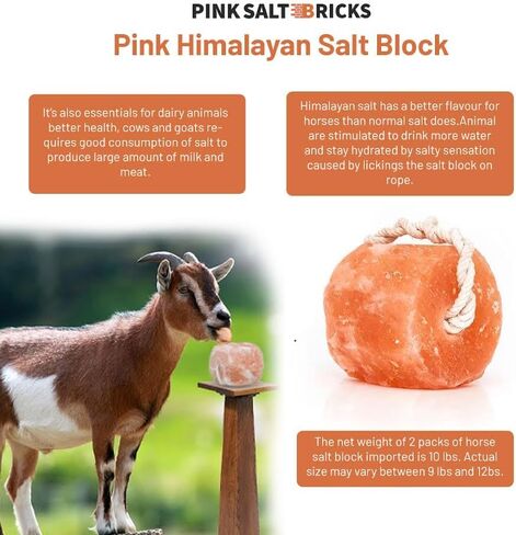 Himalayan Horse Salt Lick 4 Pack, 5 to 6 lbs Each Animal Salt Block on Rope for Deer, Goat, and Livestock in Kuwait