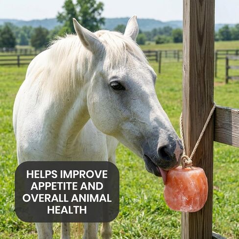 6 Himalayan Salt Block for Horses with Rope Natural Horse Salt Lick for Hydration and Mineral Support in Kuwait