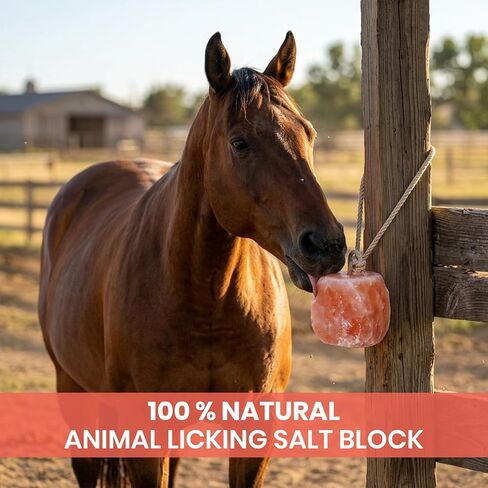6 Himalayan Salt Block for Horses with Rope Natural Horse Salt Lick for Hydration and Mineral Support in Kuwait