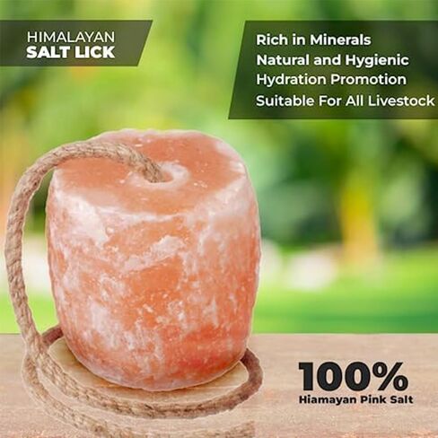 6–7 lbs Himalayan Salt Lick Block for Horses and Deer on Rope – in Kuwait