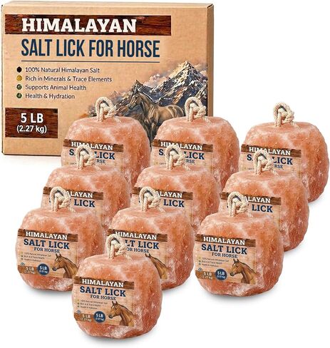 10 Himalayan Salt Block for Horses with Rope Natural Horse Salt Lick for Hydration and Mineral Support in Kuwait