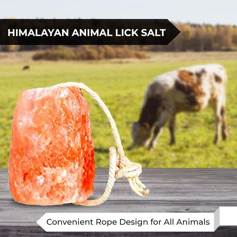 Himalayan Pink Salt Licks for Animals – Natural Salt Block with Rope for Horses, Cows, Deer & More – No Harmful Elements - Approximately 18 lbs (Pack of 4) in Kuwait