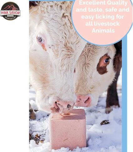 Compressed Pink Himalayan Salt Lick 6 lbs 100% Natural and Pure Feed Salt Block that Contains Trace Elements and Natural Minerals in Kuwait