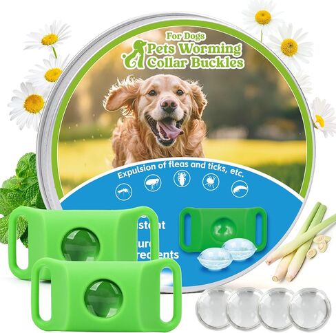 Natural Flea and Tick Prevention Dog Tag – 2 Pack Waterproof Collar Pendant with 4 Extra Refills, Green, Safe for All Breeds Collar Not Included in Kuwait