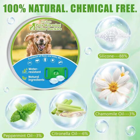 Natural Flea and Tick Prevention Dog Tag – 2 Pack Waterproof Collar Pendant with 4 Extra Refills, Green, Safe for All Breeds Collar Not Included in Kuwait