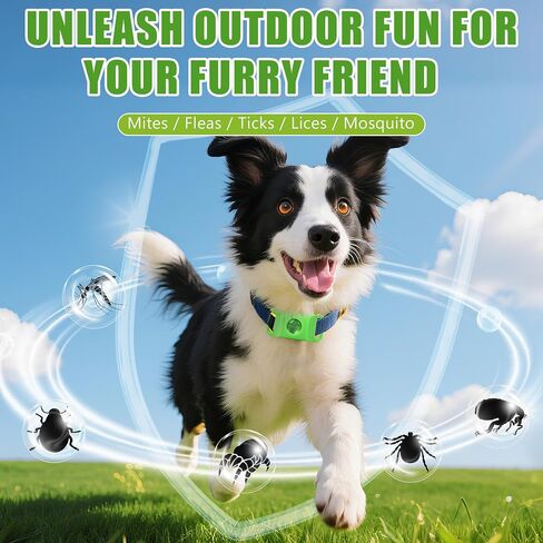 Natural Flea and Tick Prevention Dog Tag – 2 Pack Waterproof Collar Pendant with 4 Extra Refills, Green, Safe for All Breeds Collar Not Included in Kuwait