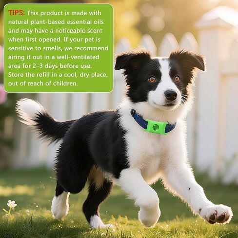 Natural Flea and Tick Prevention Dog Tag – 2 Pack Waterproof Collar Pendant with 4 Extra Refills, Green, Safe for All Breeds Collar Not Included in Kuwait