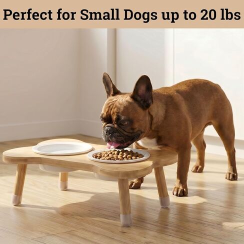 Elevated Dog Bowls for Small Dogs, Set of 2 Ceramic Dog Bowls with Stand in Kuwait