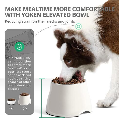 yoken Elevated Dog Bowls,[Prevention of Vertebrae Disease][Super Non-Slip] Dog Bowl with Stainless Steel Bowl,High Capacity,for Medium/Small Size Dogs in Kuwait