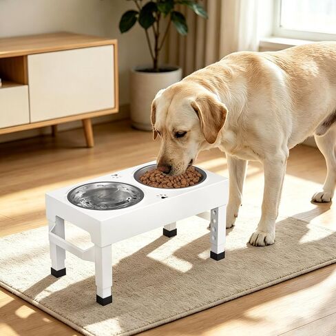 Elevated Dog Bowls Stand Large Breed, Height Adjustable Raised Dog Bowls Holder with 2 Stainless Steel Food Bowls for Small, Medium and Large Canine，White in Kuwait