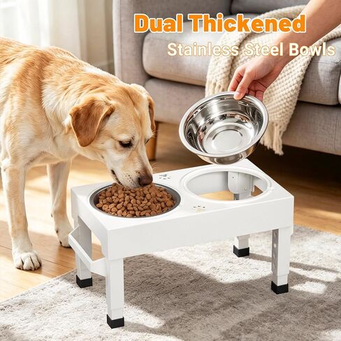 Elevated Dog Bowls Stand Large Breed, Height Adjustable Raised Dog Bowls Holder with 2 Stainless Steel Food Bowls for Small, Medium and Large Canine，White in Kuwait