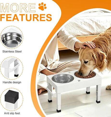 Elevated Dog Bowls Stand Large Breed, Height Adjustable Raised Dog Bowls Holder with 2 Stainless Steel Food Bowls for Small, Medium and Large Canine，White in Kuwait