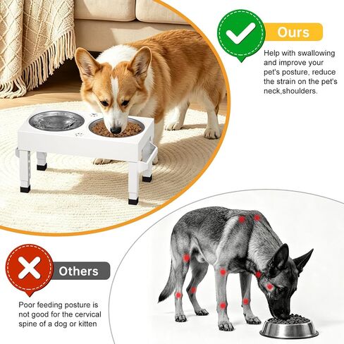 Elevated Dog Bowls Stand Large Breed, Height Adjustable Raised Dog Bowls Holder with 2 Stainless Steel Food Bowls for Small, Medium and Large Canine，White in Kuwait