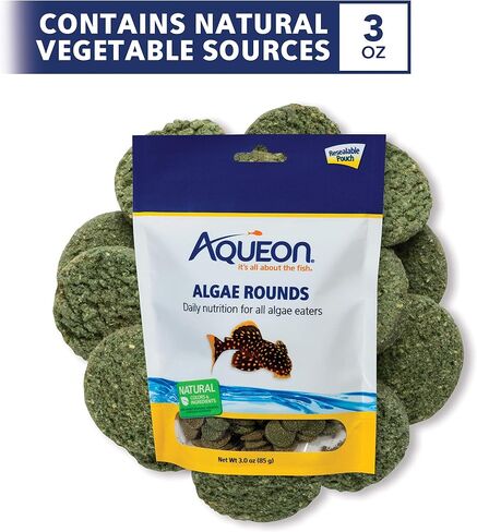 Aqueon Algae Rounds 3 Ounces in Kuwait