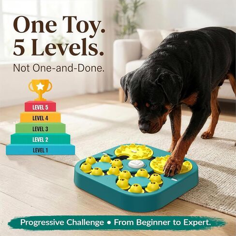 KADTC XL 5-Levels Dog Puzzle Toy, 6 Games Mental Stimulation for Smart Dogs in Saudi Arabia