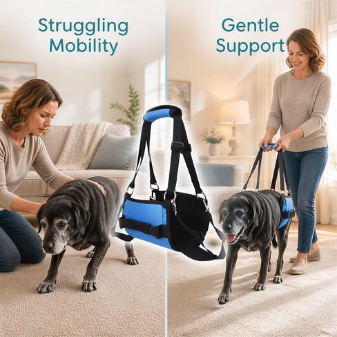 Dog Belly Support Sling, Adjustable Walking Aid for Senior Dogs, M, 10-20 lb in Kuwait