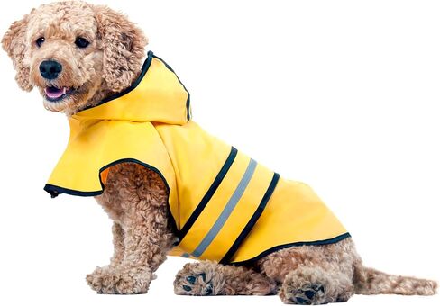 SPOT Rainy Days Slicker - Yellow Dog Rain Jacket With Hood, Reflective Strip for Safety, Leash Hole & Adjustable Velcro Belly Strap, 100% Polyester Water Resistant Pet Raincoat - Medium, 13in Long in Kuwait